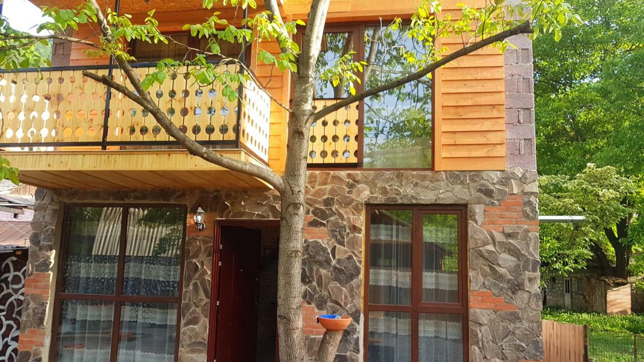 Levani'S Cottage Borjomi Exterior photo