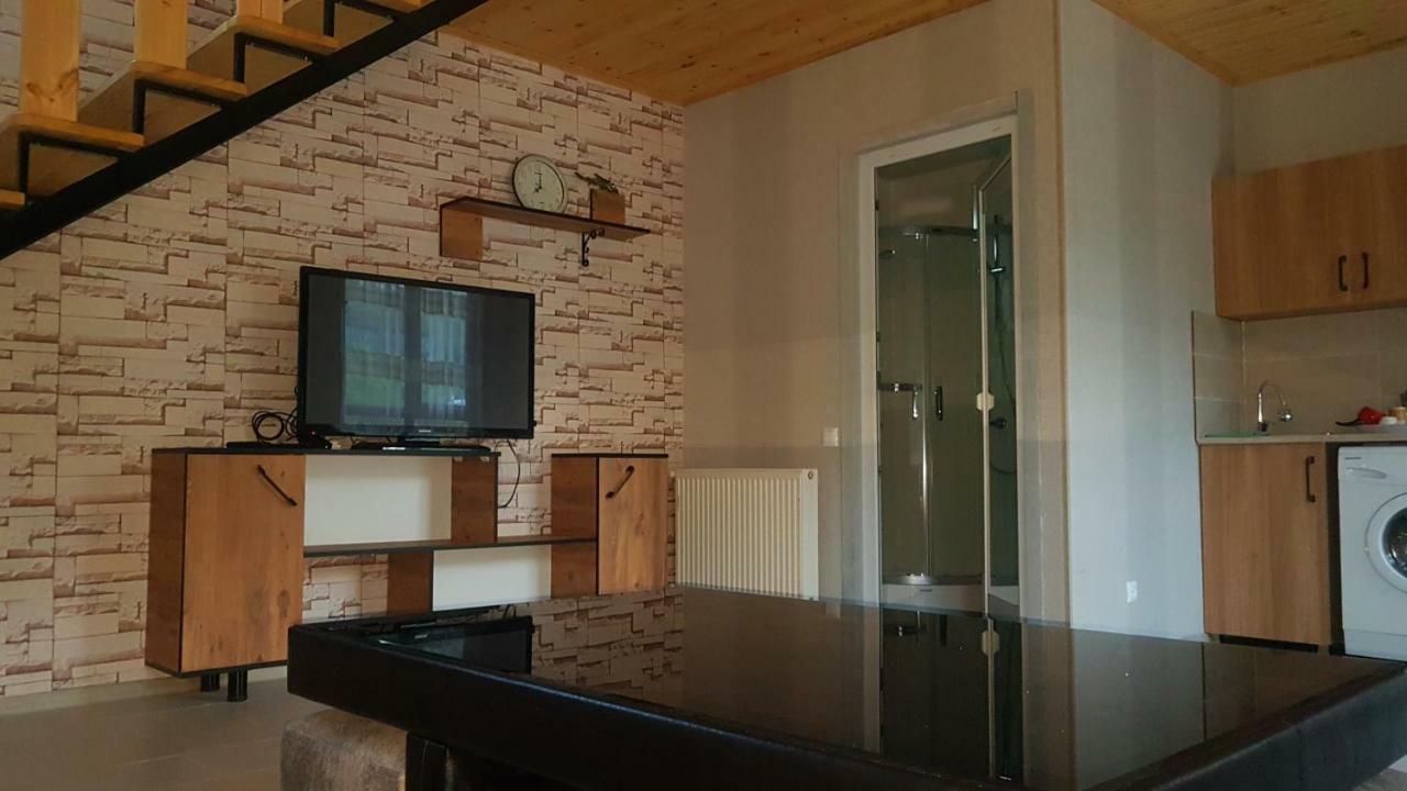 Levani'S Cottage Borjomi Exterior photo