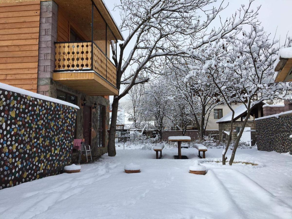 Levani'S Cottage Borjomi Exterior photo